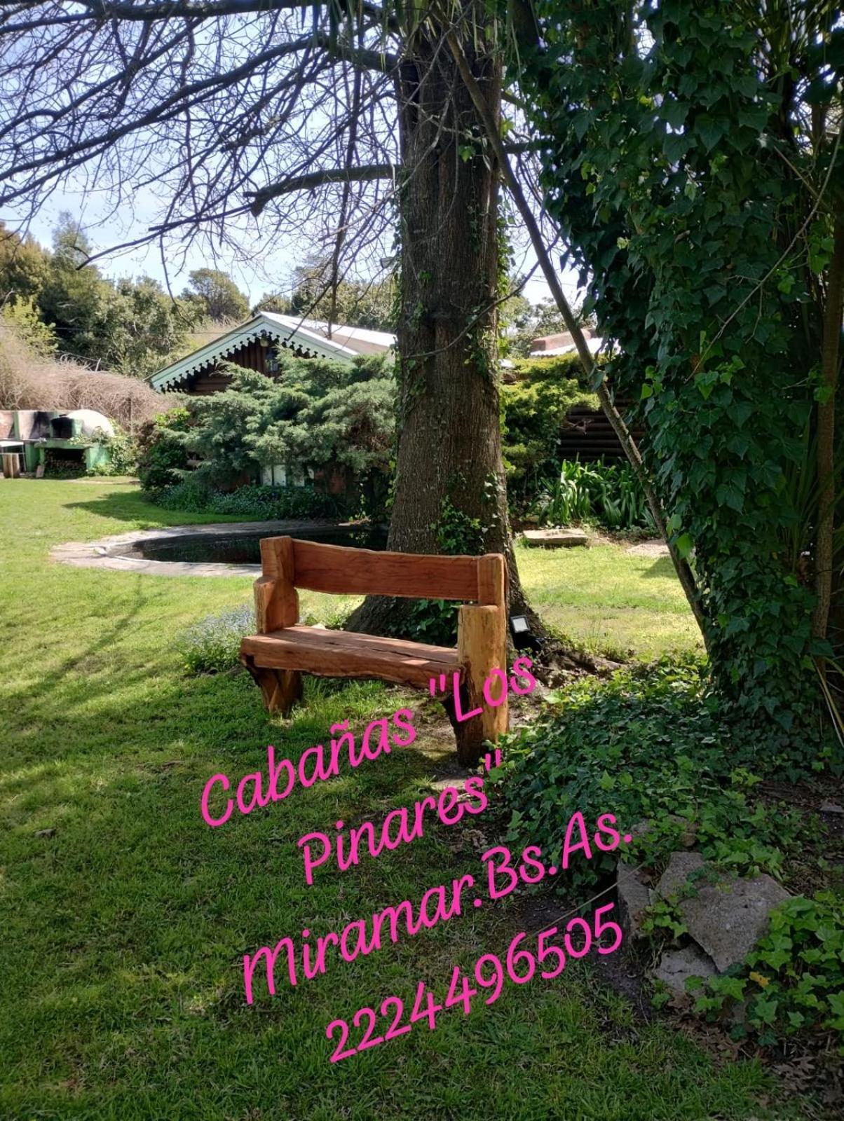 Pinares *